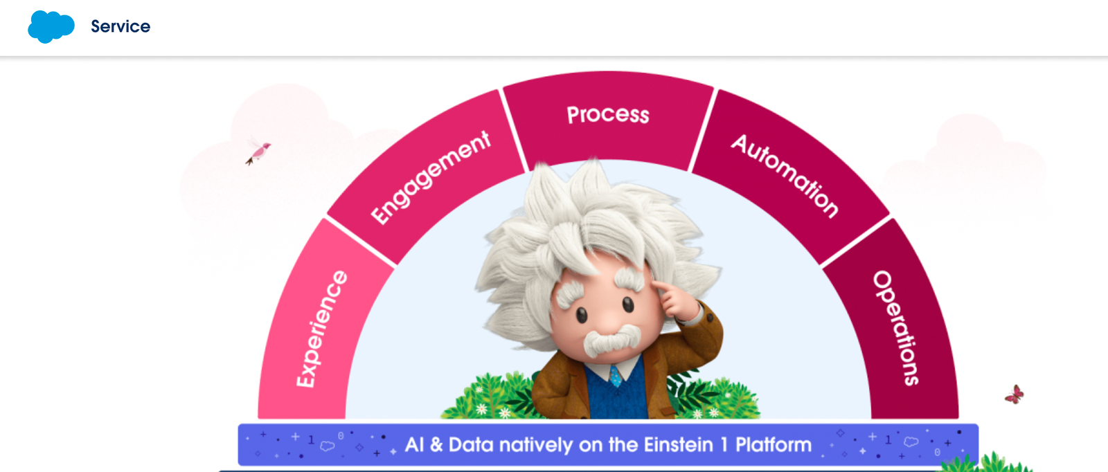 <salesforce_einstein>